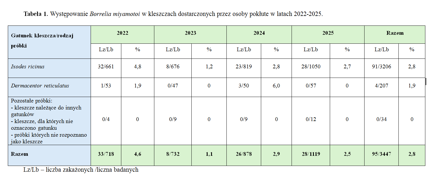 Zakażenie kleszczy Borrelia miyamotoi